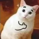 花胶生发 2026年花胶的发头