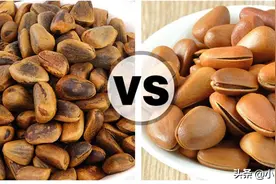 过年买松子，选黄色的还是黑色的？差别很大，弄清楚再买不浪费钱图片