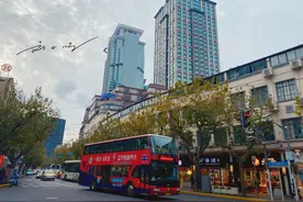 上海另一条“南京路”，商业发达，高档商场云集，游客却不怎么来图片