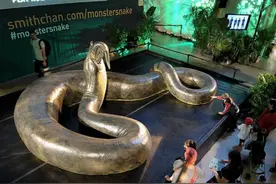 5500万年前，地球“高烧”孕育了泰坦蟒，成因或将再现图片