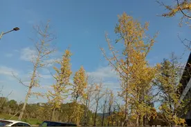 贵州男子意外去世，媳妇改嫁，哥嫂含辛茹苦把儿女养大成人图片