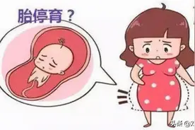 为什么胎停育的人越来越多？这6大“杀手”要注意图片