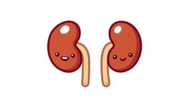 BCAA.支链氨基酸 真的有用吗？