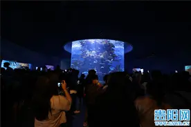 国庆长假第四天 贵阳海洋馆迎来客流高峰图片