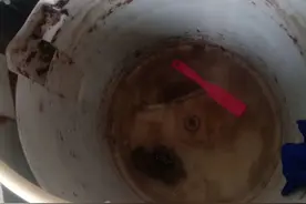 拆开多年未洗的洗衣机，吓一跳，这么脏，自己动手洗了图片