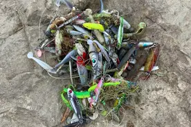 珠江水浅，这群深藏水底的“鱼”浮出，有人钓了一大堆图片