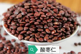 中药古今研究：酸枣仁图片