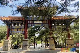 “先有潭柘寺，后有北京城”！帝王树有何奥秘？大铜锅熬粥为何只加水不加米？图片