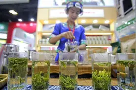 岩茶被炒成30万元1斤的“送礼茶”茶农没有从中受益 普通消费者无法承受 幕后推手是谁？图片