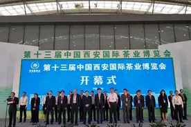 西北地区首场线下茶展将于8月21日在西安国际会展中心盛大开幕图片