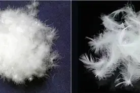 千元级别羽绒服大比拼，金字塔底端品牌就一定差吗？图片