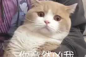表情包：你竟然凶我图片