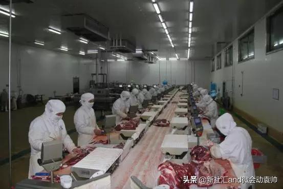 牛票讯息：70年破茧蝶变，通辽以现代农牧业构筑内蒙“粮仓肉库”