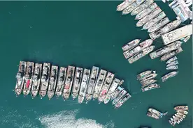 辽宁开海啦！是时候实现“海鲜自由”了图片