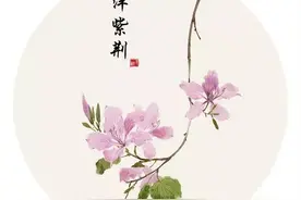 汉字也撞脸！30组相似的字，看你能分清多少？图片