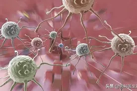 ​男性生殖系统感染的抗菌药物选择图片