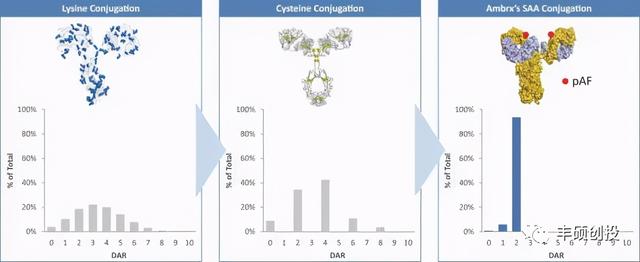 利用非天然氨基酸实现ADC 90%均一性的Ambrx Biopharma
