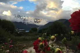 西藏林芝索松村看鲜花彩虹南迦巴瓦峰雪山雅鲁藏布江图片