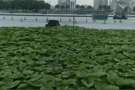 每日20个英语单词图片