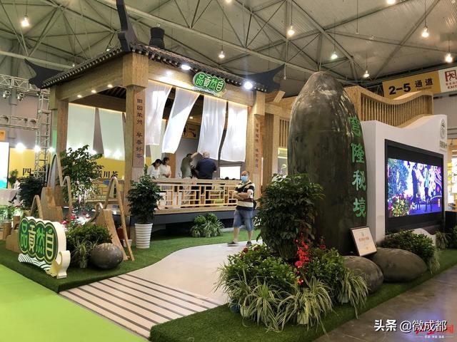 规模6万平方米，1000余家企业参展！第九届四川国际茶博会今日在成都开幕