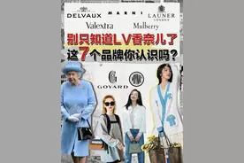 据说有钱又低调的小姐姐都在背这些包图片