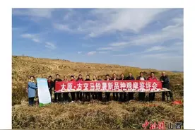 24个土豆品种那种最好吃？农业专家在古交替你来选拔图片