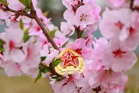 【夜读 · 散文】20年，我们牵手走过图片