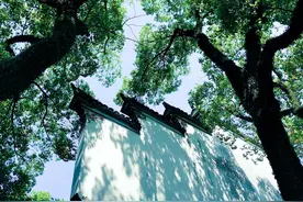 我开着车带你玩宁波图片