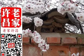 韩集到社楼，一去不回头。到底谁在许昌此地动过干戈？图片