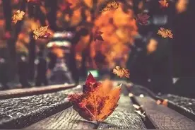 散文：沧桑岁月，没有不老的人生，只有不老的心态图片