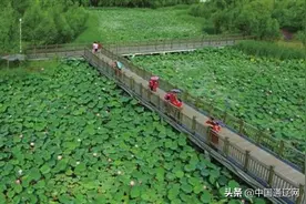 幸福乐园——辽河公园影像纪实图片