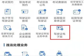 权威发布：“电子驾照”应当这样“用”这样“领”图片