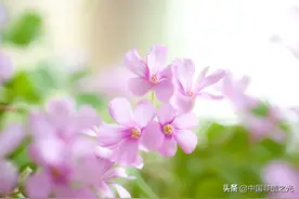 这辈子陪你最久的人，是谁？图片