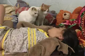 女子熬夜睡过头了，忘记给猫咪喂食，睁开眼后却只想继续装睡了图片