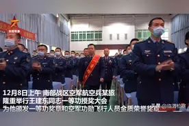 战机撞鸟避开居民区飞行员获一等功图片