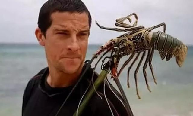 贝尔格里尔斯：都说他什么都吃，至少在中国的皮蛋面前，他退却了