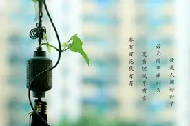 十年前偶遇的一首诗，如今看来受用无穷——李密庵《半半歌》图片