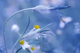 人与人之间最好的关系，离不开这三点图片