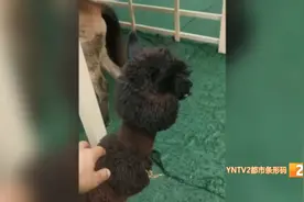 说好了租用，结果竟不愿意归还，还有这种操作？该怎么维权？图片