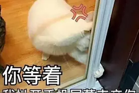 表情包：你等着，我扒开手机屏幕来亲你图片