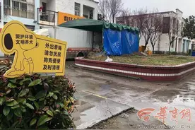 遛狗不牵绳，引发狗咬狗，西安一宠物狗主人制止两狗撕咬被狗咬伤图片