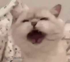 抓猪养猪还可以给猪配种，这款沙盒生存游戏逗乐我了