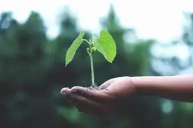 大气污染和水污染环境保护税如何计算，一篇带你读懂~图片