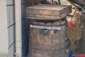 神奇的诱蜂大法图片