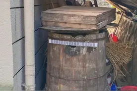 神奇的诱蜂大法图片