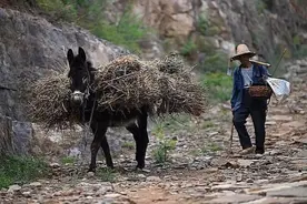一生勤劳的二叔，我来孝敬您图片