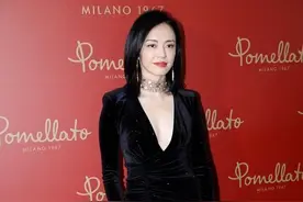 姚晨真是腿精的代表，穿黑色丝绒裙能看到大腿根，也太放得开了图片