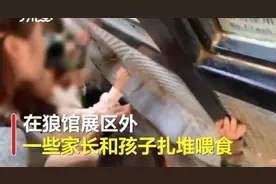 北京动物园回应“家长带着孩子喂狼吃草”：涉事女子已列入黑名单图片