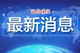 中共陕西省委办公厅 陕西省人民政府办公厅关于提倡人民群众就地过年做好春节期间服务保障工作的通知图片