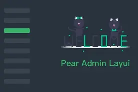 Pear Admin Layui - 基于 Layui 打造的快速、高效的中后台管理系统图片